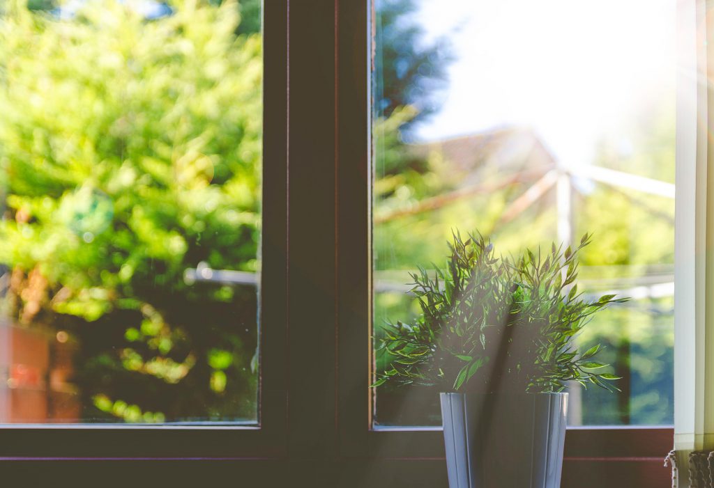 Window and Door Replacement